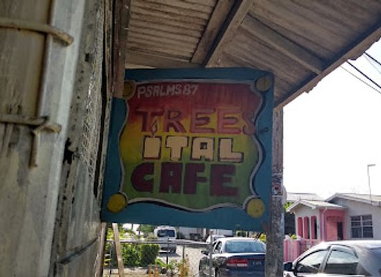 barbados/bridgetown/restaurant/trees-ital-cafe