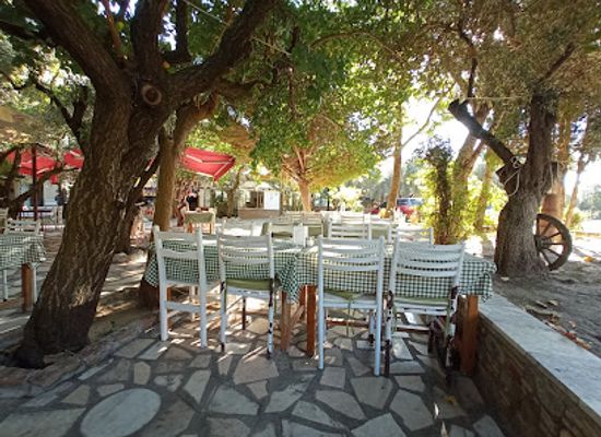 turkiye/ionia/restaurant/bizim-ev-hanimeli-restoran