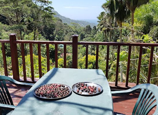 seychelles/baie-lazare/restaurant/jardin-du-roi-spice-garden