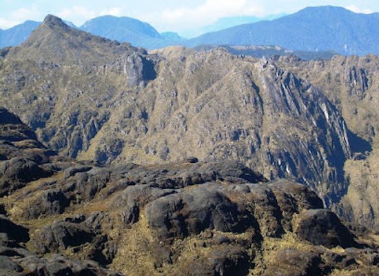 papua-new-guinea/mount-wilhelm/restaurant/mt-wilhelm