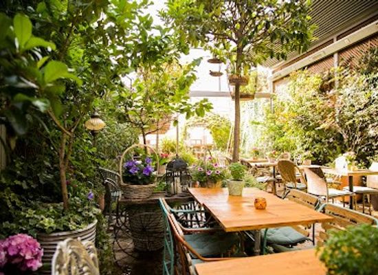 spain/madrid/sol/restaurant/garden-of-salvador-bachiller