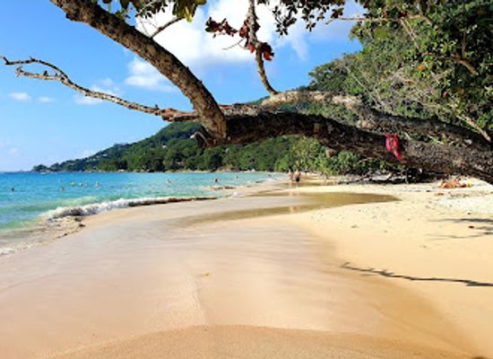 seychelles/cerf-island/restaurant/la-perle-noire-restaurant