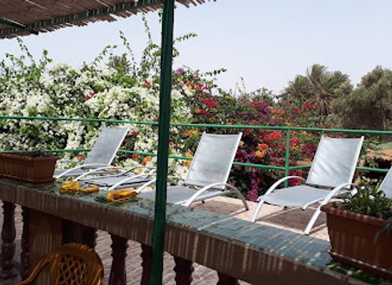 morocco/souss-massa/restaurant/la-palmeraie-de-massa-auberge-restaurant-maison-d-hote-massa-agadir