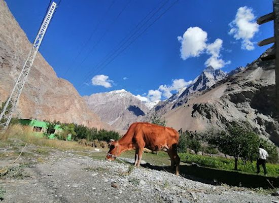 pakistan/gilgit-baltistan/restaurant/khyber-ibex-restaurant