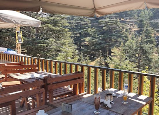 lebanon/qadisha-grotto/restaurant/cafe-des-cedres