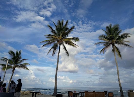 marshall-islands/kwajalein-atoll/restaurant/oceanview-club-aka-snake-pit