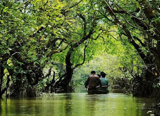 bangladesh/ratargul-swamp-forest/restaurant/ratargul-swamp-forest