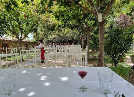 albania/kurbin/restaurant/rapsodia-restaurant