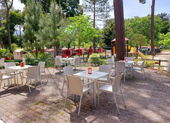 portugal/minho/restaurant/restaurante-campismo