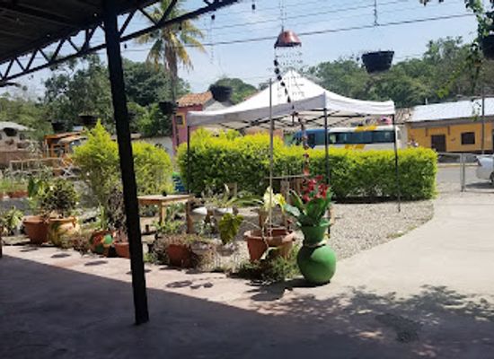 honduras/gracias/restaurant/sopas-la-vid