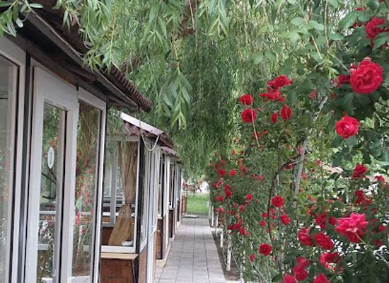 azerbaijan/khachmaz/restaurant/qimil-restoran