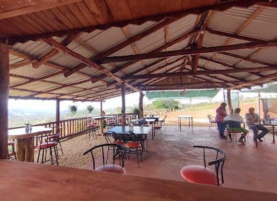 costa-rica/nicoya-peninsula/restaurant/palo-de-jamaica-restaurant