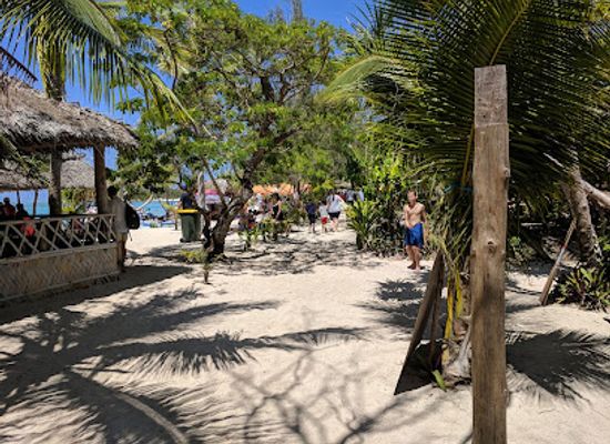vanuatu/isangel/restaurant/fresh-coconuts