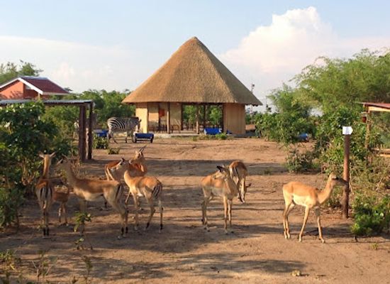 zambia/copperbelt/restaurant/mokorro-hotel