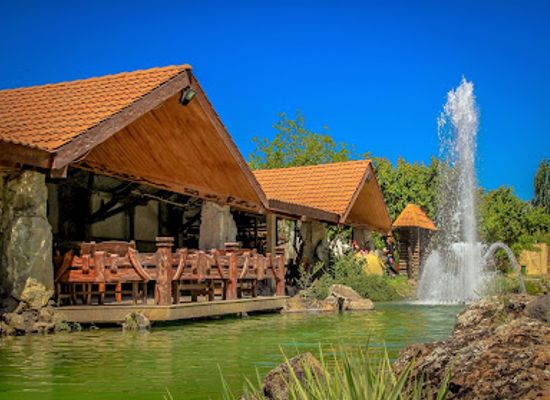 armenia/shirak/restaurant/aria-by-igdir