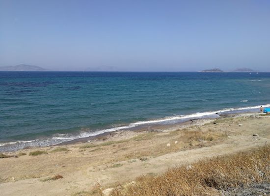 turkiye/bodrum/restaurant/fener-restaurant