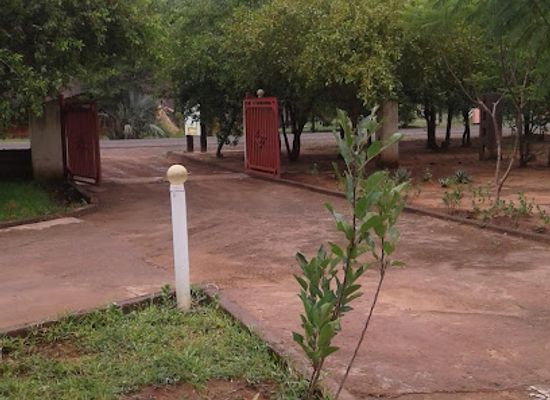 zambia/livingstone/restaurant/dessert-flower-livingstone