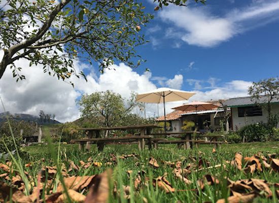 ecuador/sierra/restaurant/la-cosecha-tagualo