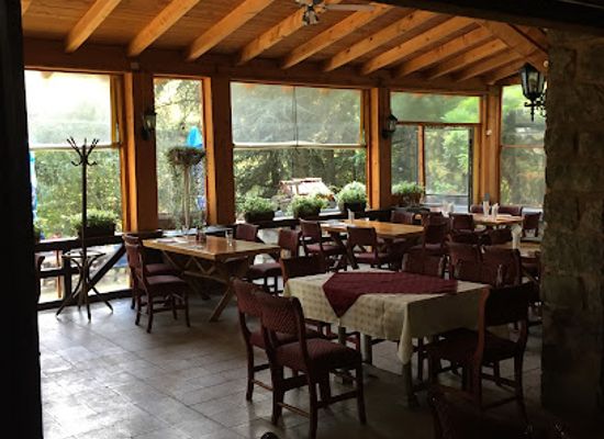 serbia/srem/restaurant/mountain-home-carapicev-brest