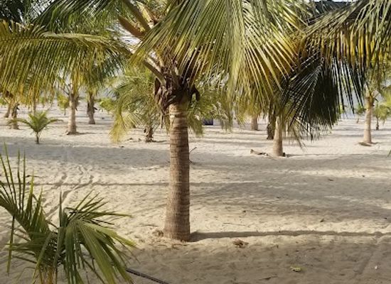 the-gambia/banjul/restaurant/mike-s-black-and-white-cafe