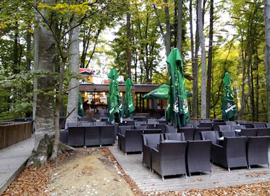 romania/rasnov-area/restaurant/papazaur