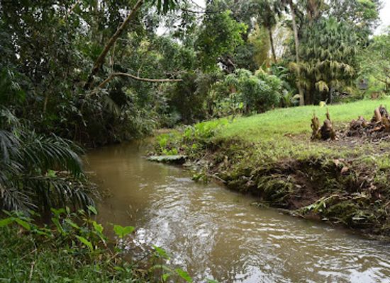 mauritius/black-river-gorges-national-park/restaurant/saveur-tropical