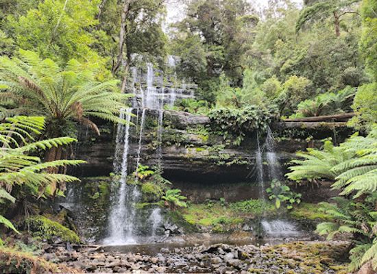 australia/mount-field-national-park/restaurant/waterfalls-cafe-and-gallery