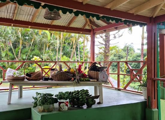 dominica/saint-patrick/restaurant/zeb-zepis-bistro