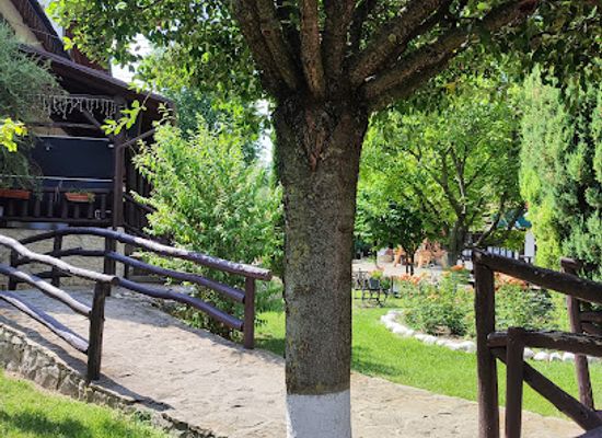 moldova/bessarabia/restaurant/la-badis
