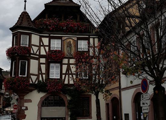 france/alsace-wine-route/restaurant/l-alchemille