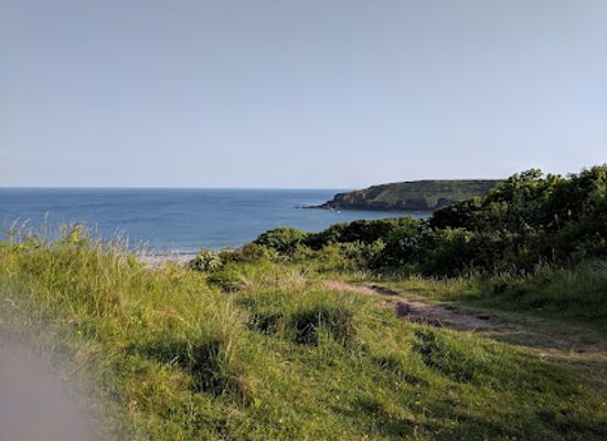 united-kingdom/pembrokeshire-coast-national-park/restaurant/the-freshwater-inn
