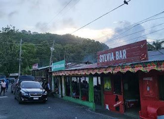 jamaica/port-antonio-area/restaurant/i-r-boston-jerk-center