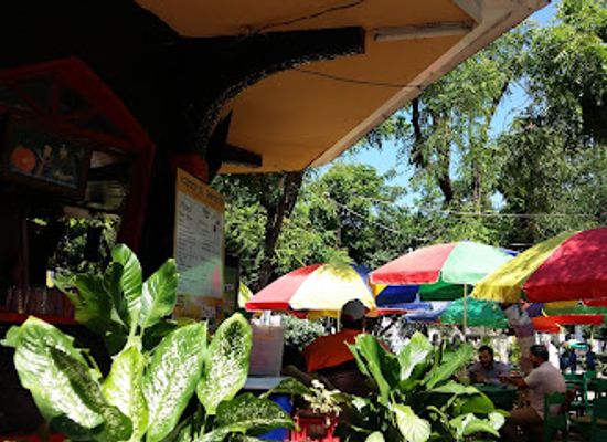 nicaragua/granada-plains/restaurant/el-gordito