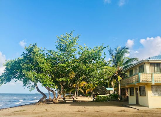 belize/vaca-plateau/restaurant/luba-laruga-cool-spot
