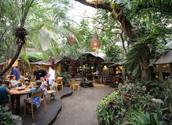 mexico/playa-del-carmen/restaurant/la-cueva-del-chango