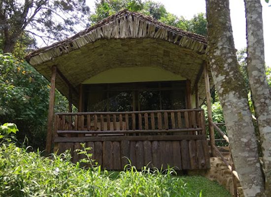 uganda/bwindi-impenetrable-national-park/restaurant/engagi-lodge