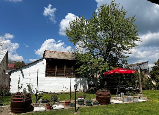 serbia/srem/restaurant/ilkicev-kucerak-u-sremu