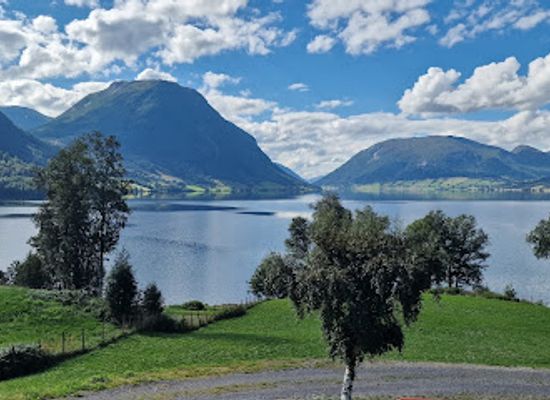 norway/sogn-og-fjordane/restaurant/fjord-hotel