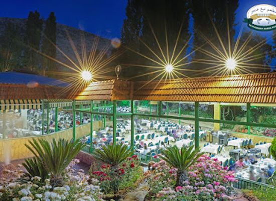 lebanon/bekaa/restaurant/nabaa-anjar-restaurant