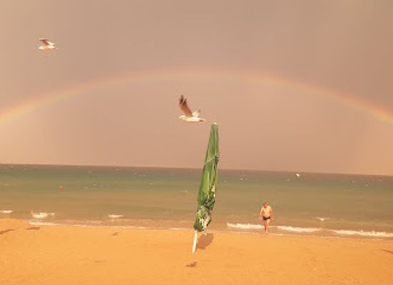 bulgaria/primorsko/restaurant/beach-bar