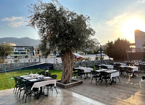 cyprus/kyrenia-district/restaurant/the-kitchen-at-supreme