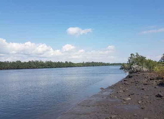 gabon/pongara-national-park/restaurant/mess-des-douanes