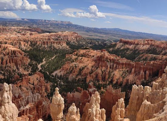 utah/lake-powell/restaurant/wild-thyme-cafe