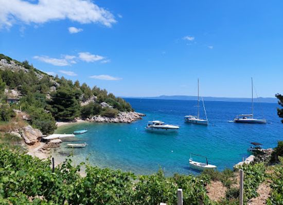 croatia/brac-island/restaurant/vala-hrvaska