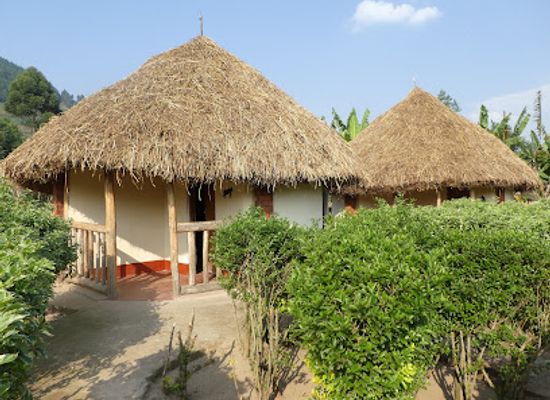 uganda/bwindi-impenetrable-national-park/restaurant/gorilla-village-lodge-rubuguri