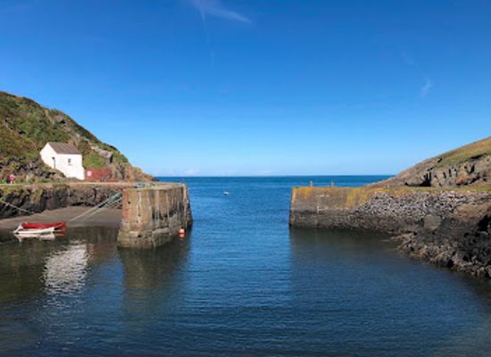 united-kingdom/pembrokeshire-coast-national-park/restaurant/the-shed-fish-chip-bistro
