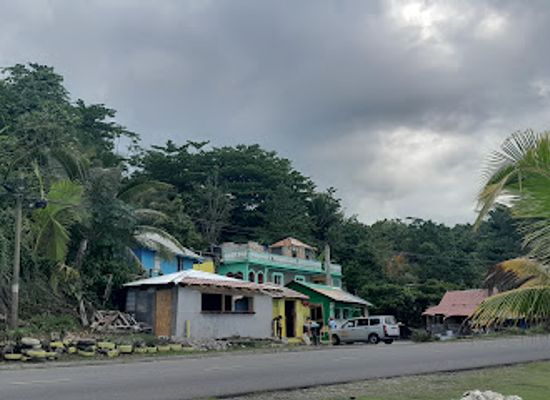 jamaica/john-crow-mountains/restaurant/mama-fiyah