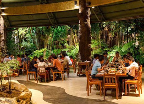 thailand/chiang-mai-province/restaurant/khaomao-khaofang-imaginary-jungle
