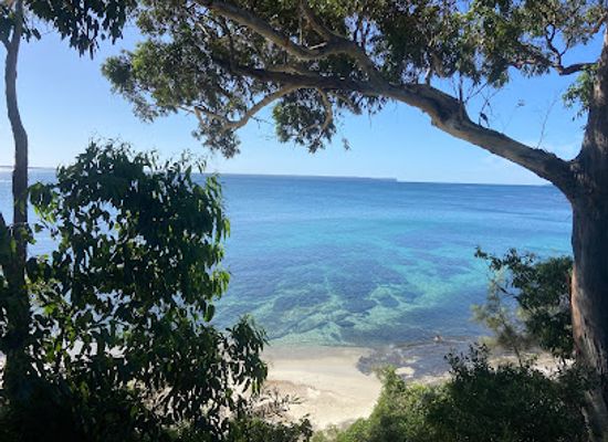 australia/jervis-bay/restaurant/angels-bayside-cafe