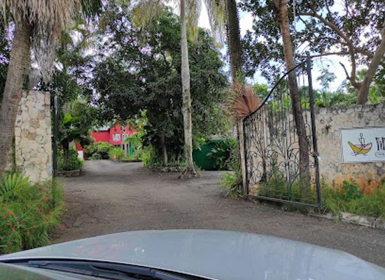 jamaica/blue-mountains/restaurant/majestic-japanese-restaurant
